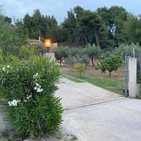 Askalosia Villa Agios Georgios  Dış mekan fotoğraf