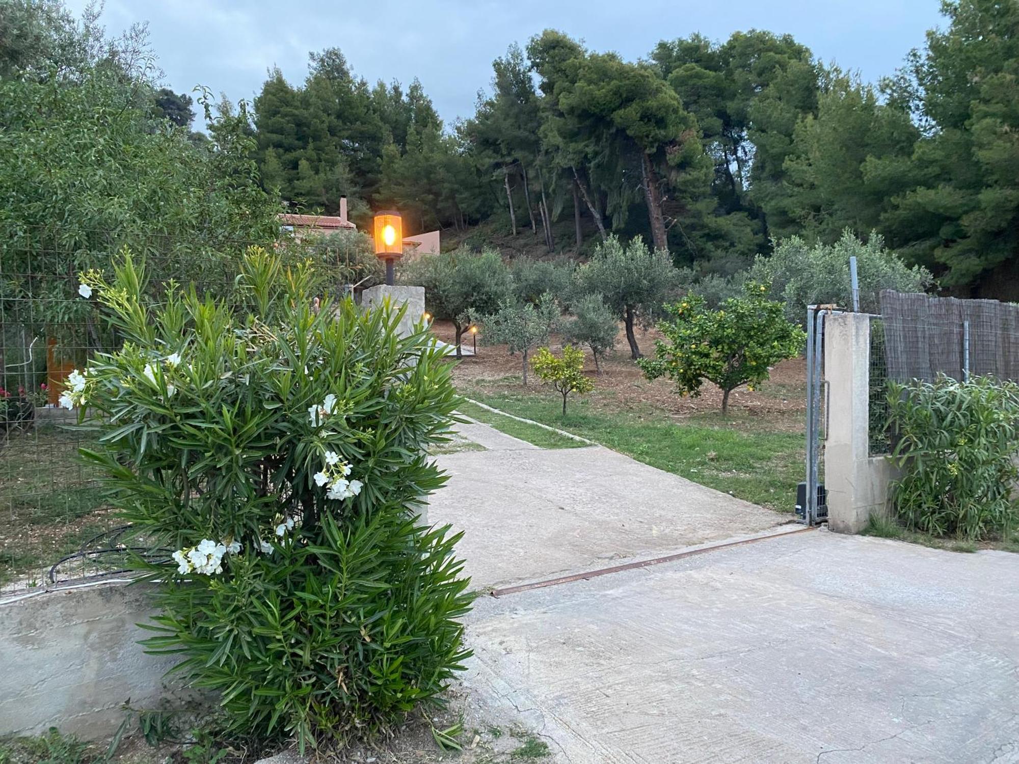 Askalosia Villa Agios Georgios  Dış mekan fotoğraf