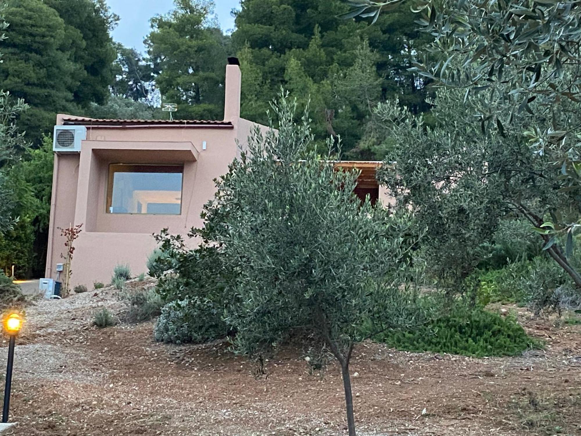 Askalosia Villa Agios Georgios  Dış mekan fotoğraf