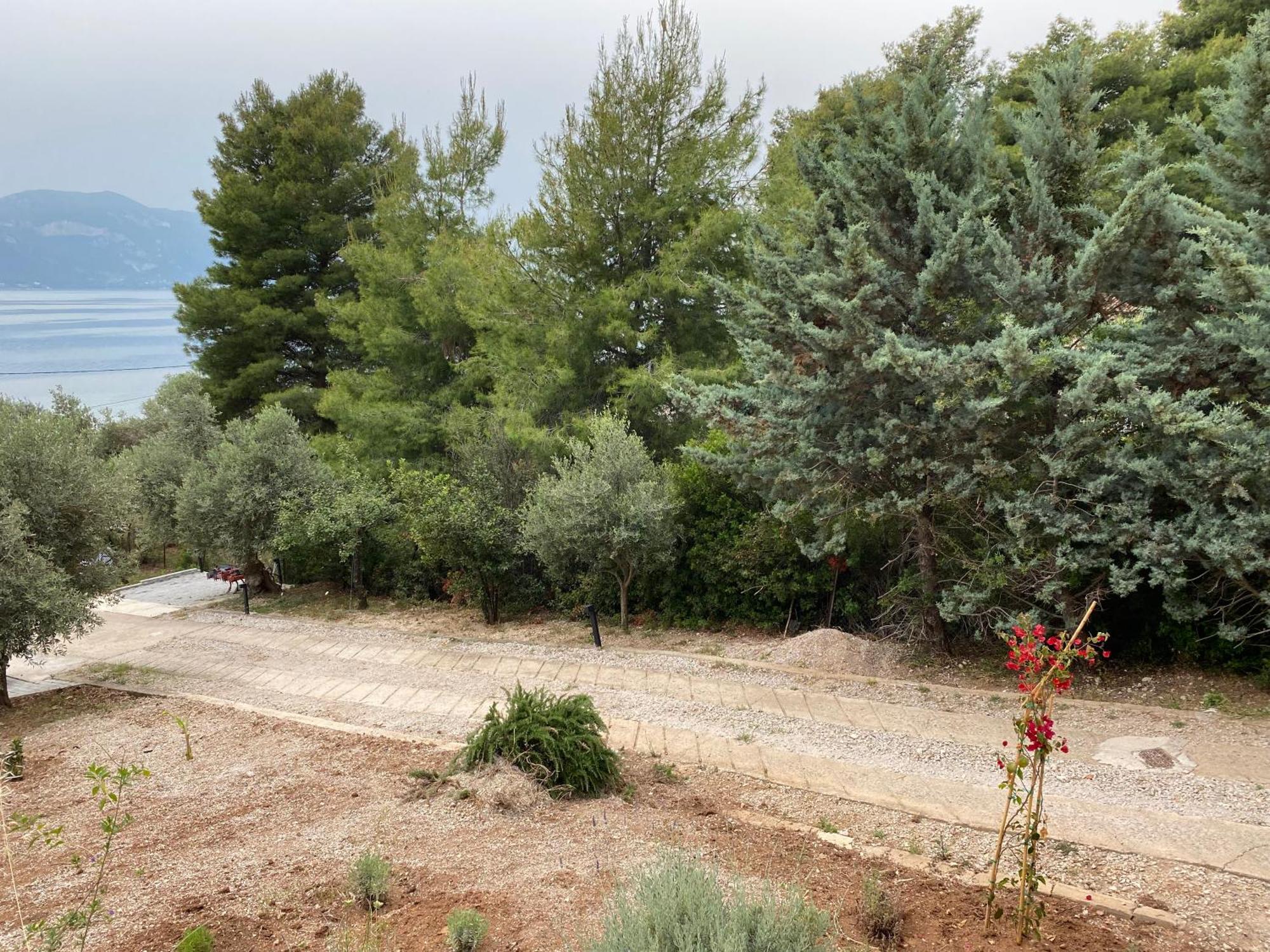 Askalosia Villa Agios Georgios  Dış mekan fotoğraf