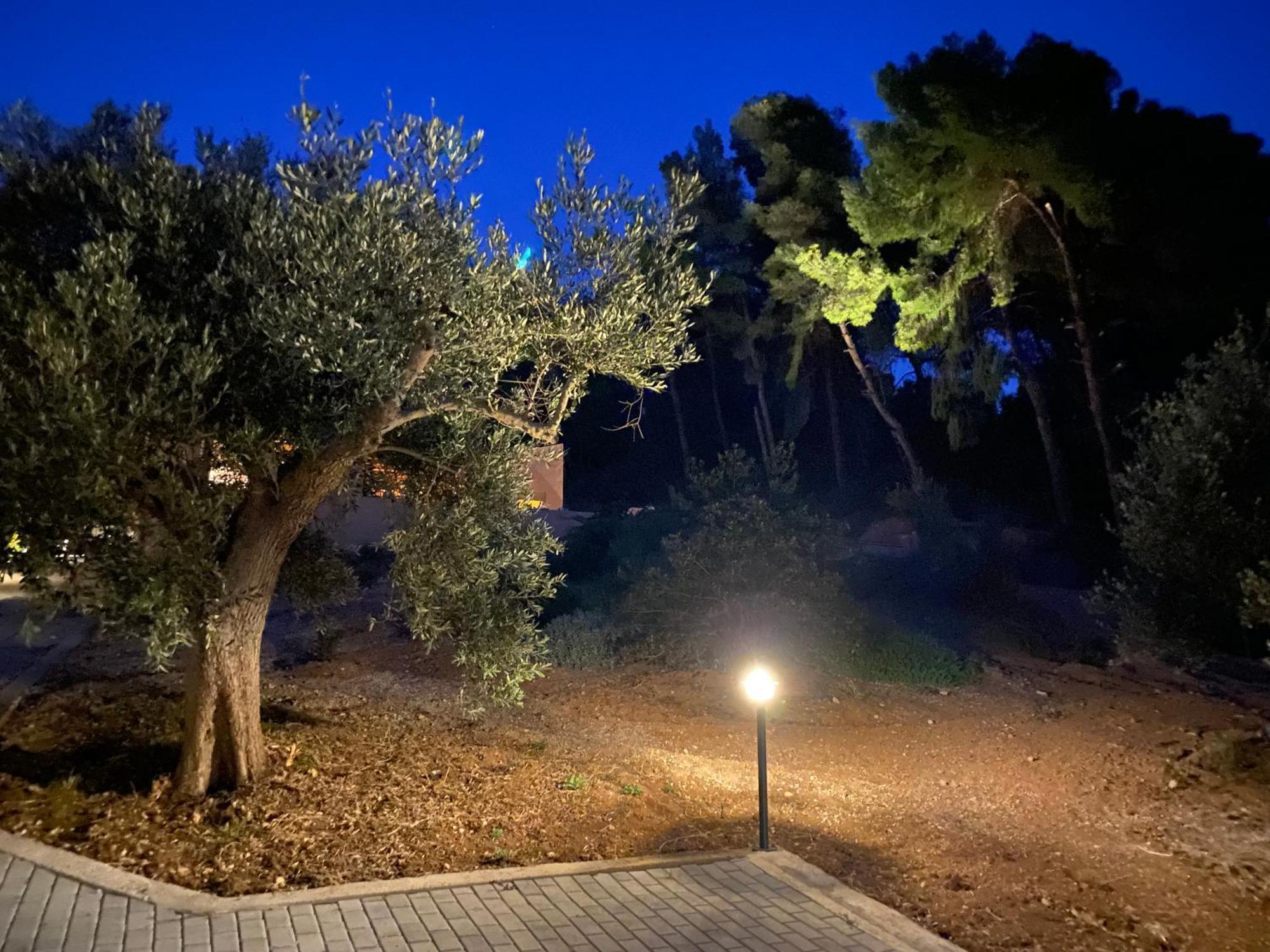 Askalosia Villa Agios Georgios  Dış mekan fotoğraf